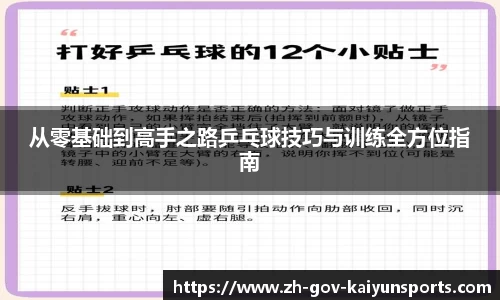 从零基础到高手之路乒乓球技巧与训练全方位指南