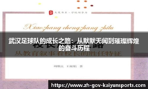 开云体育官网